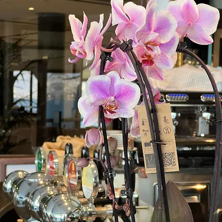 Ξενοδοχείο Wind 3*